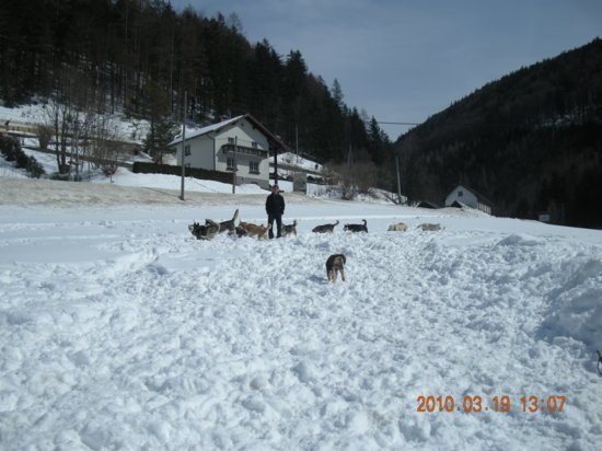 dscn2556.jpg