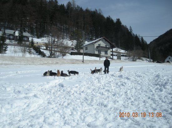 dscn2558.jpg