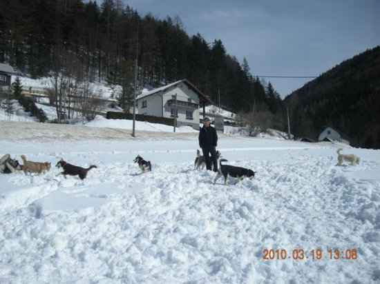 dscn2559.jpg
