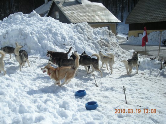 dscn2560.jpg
