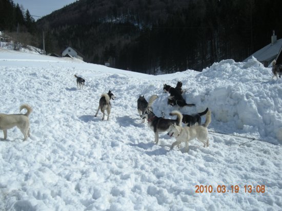 dscn2561.jpg