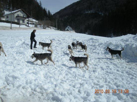 dscn2562.jpg