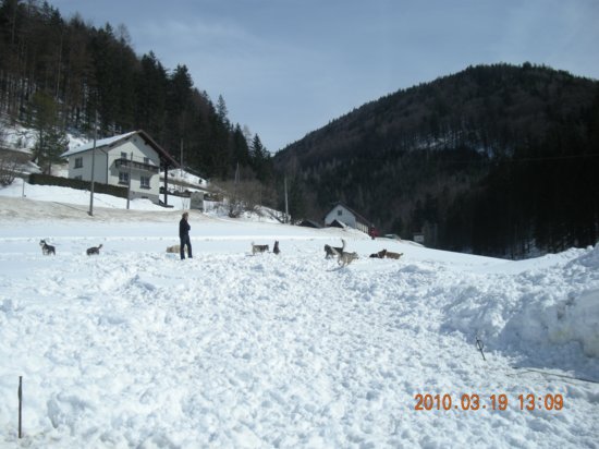 dscn2564.jpg