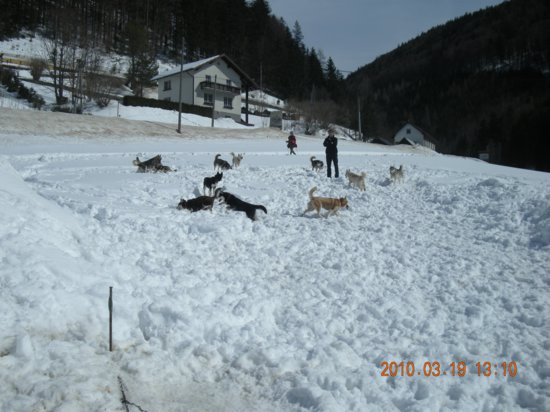 dscn2566.jpg