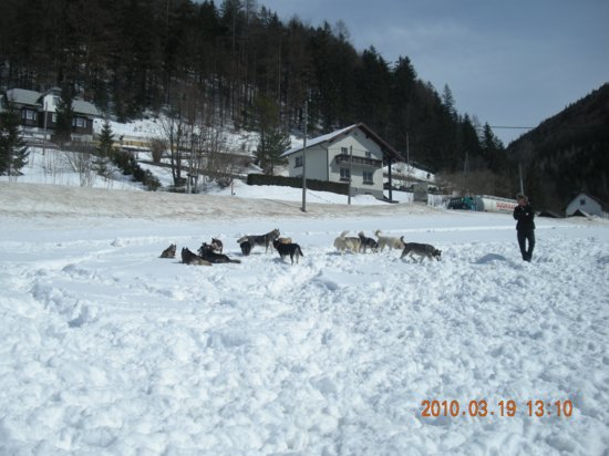 dscn2569.jpg