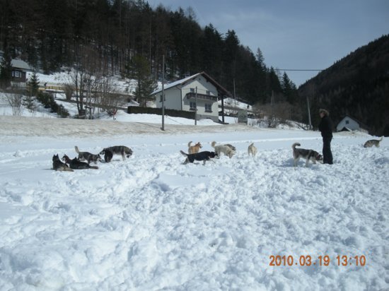 dscn2570.jpg
