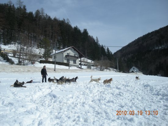 dscn2572.jpg
