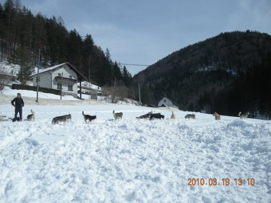 dscn2573.jpg