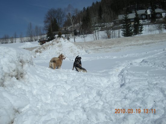 dscn2574.jpg