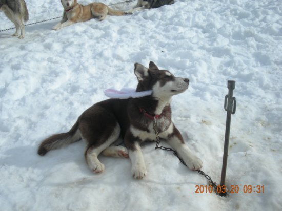 dscn2578.jpg