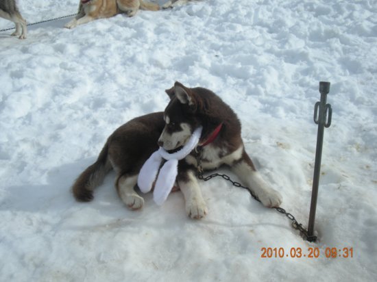 dscn2579.jpg
