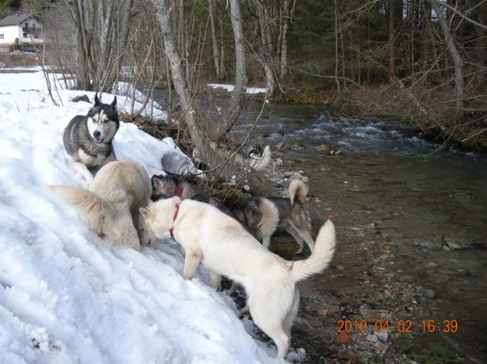 dscn2637.jpg