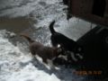 dscn2554.jpg