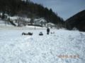 dscn2557.jpg