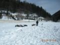 dscn2558.jpg