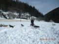 dscn2559.jpg