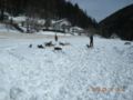 dscn2567.jpg