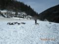 dscn2568.jpg