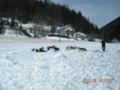 dscn2569.jpg