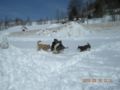 dscn2575.jpg