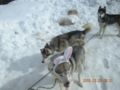 dscn2577.jpg