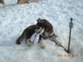 dscn2579.jpg