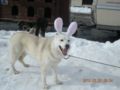 dscn2588.jpg