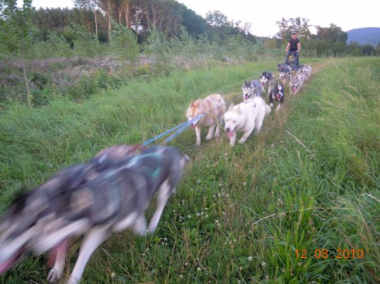 dscn3125.jpg