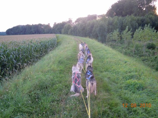 dscn3126.jpg