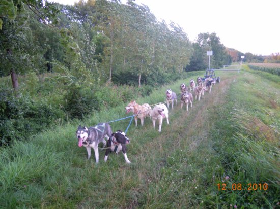 dscn3127.jpg